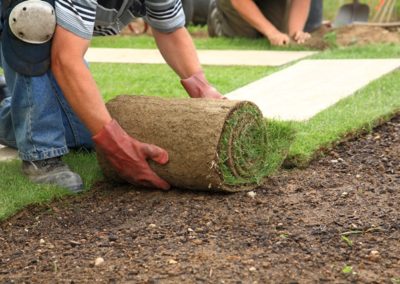 Jak skutecznie założyć trawnik z rolki?