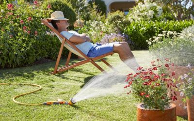 Jak zmniejszyć ilość pracy w ogrodzie