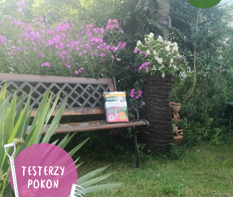 Akcja Testerska – opinia pani Barbary